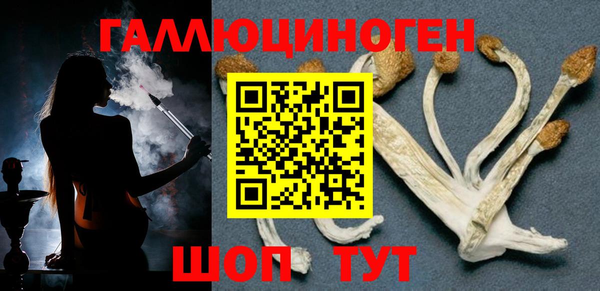 Галлюциногенные грибы мицелий Шелехов